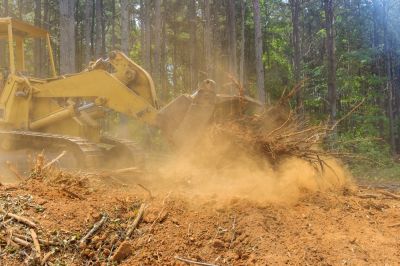 Get Land Cleared and Prepared For Building