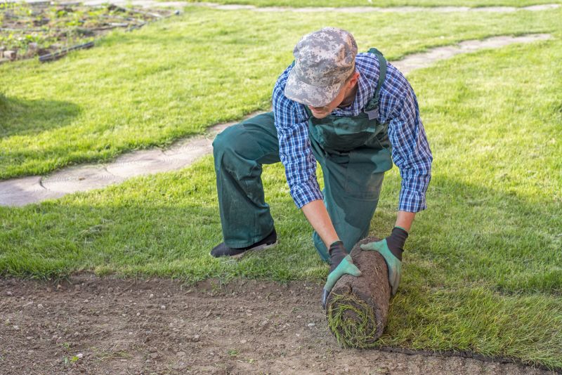 Sitework Services Promotions